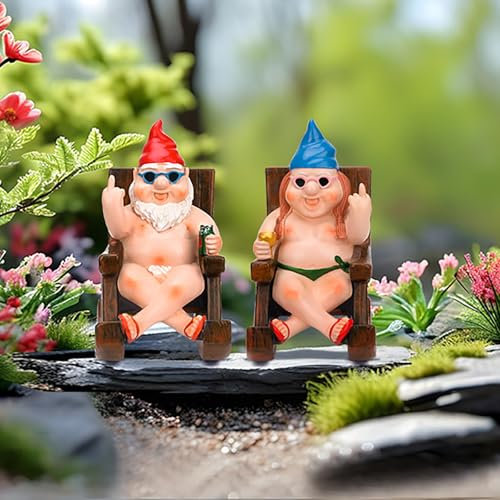 SepApr88 Garden Gnomes, Funny Naughty Naked Gnomes Figurines in Rocking Chair, Outdoor Garden Yard Lawn Statues, Middle Finger Resin Decor for Home Office（2Pcs, Sitting）