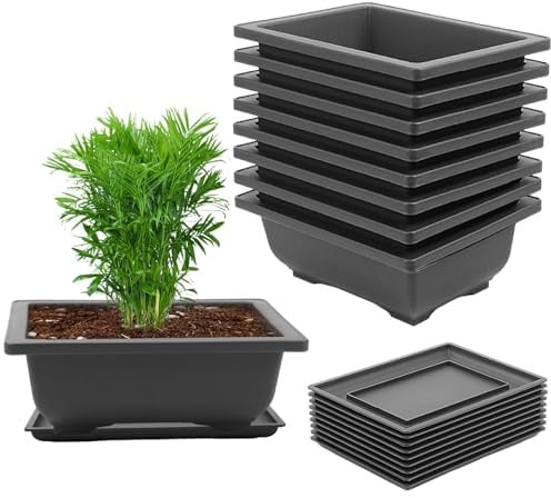 CHUIFAI 12 Stück Bonsai Topf mit Untersetzer, 23x17x8cm Bonsaischale Groß Pflanztopf, Rechteckig Bonsai Trainingstöpfe aus Kunststoff für Fensterban, Garten, Terrasse