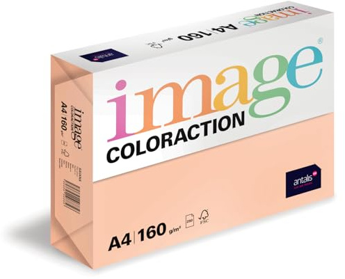 Image Coloraction Savana - farbiges Kopierpapier - DIN A4, 210 x 297 mm, 160 g/m² - buntes, holzfreies Druckerpapier für Kopierer - 250 Blatt - Salm
