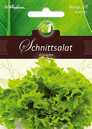 Chrestensen Schnittsalat Grünetta 'Lactuca sativa'