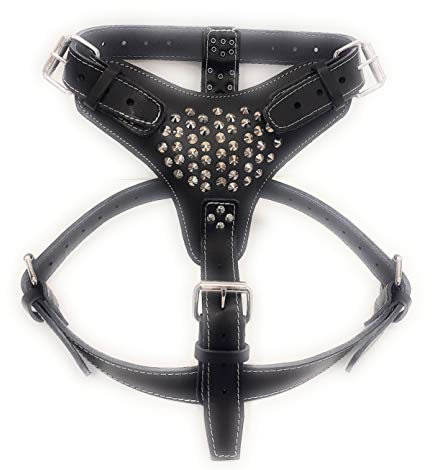 M&D Hundegeschirr aus Leder, extra groß, robust, mit Nieten, perfekt für amerikanische Bulldoggen, ausgewachsene Staffordshire, Rottweiler, Cane Corso und mehr