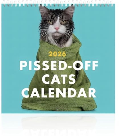 Kalender 2026 Wandkalender, Bildkalender mit 12 witzige Katzenfotografien | Wandplaner mit Platz für Notizen,Ideal als Paarkalender oder Familienplaner, Lustiger Katzen-Wandkalender(28x28 cm)