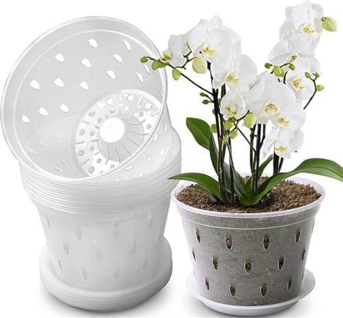 Youning Lot de 6 pots à orchidées, transparents, en plastique, transparents, avec trou de drainage - Respirants - Pour plantes et rempotage (20 cm + plateau)