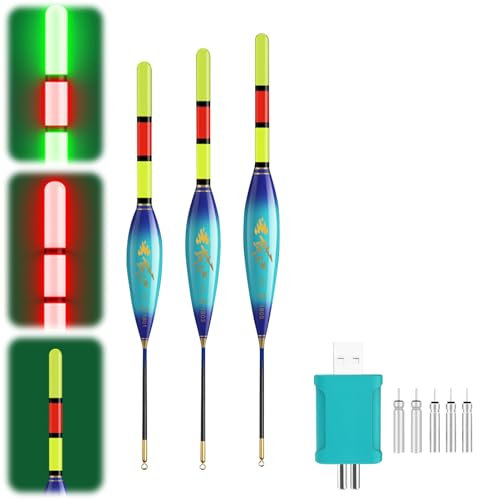 Hekasvm LED Posen Angeln Set 4g/6g/8g Kann die Farbe ändern, wenn der Fisch den Haken beißt, Angelzubehör Fishing Posen mit Batterie Ladegerät und Stabbatterie Typ CR425 (4g/6g/8g-B)