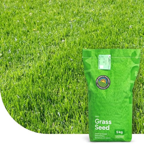 Turbo Green: Semence Gazon Regarnissage | 2 kg - 100 m² | Germination rapide | Gazon dense et bien vert | Grande tolérance au piétinement