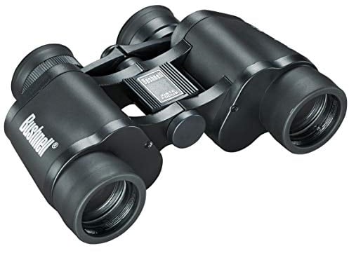 Bushnell Fernglas Falcon 7x35 - lichtstark, robust, kompakt, klein, leicht 133410