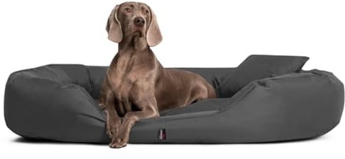 tierlando® Orthopädisches Hundebett Sammy mit viscoelastischer Matratze und hohem Rand aus robustem Polyester für gelenkschonenden Schlaf und höchsten Komfort Größe: 220x120cm | Farbe: 02 Graphit
