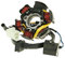 Lichtmaschine Stator für Peugeot Jetforce, Speedfight 3, Ludix, Vivacity 08-