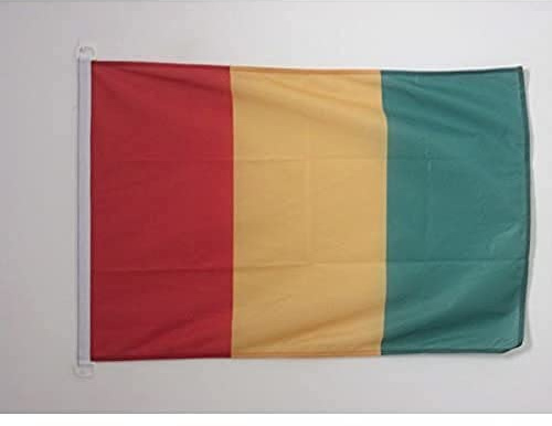 AZ FLAG Guinea Boat Flag 45x30 cm Mesh Polyester Plastic Rings | Outdoor and marine use Guinean 12x18 in boat flag Guinée weather resistant with double stitched seams and reinforced edges