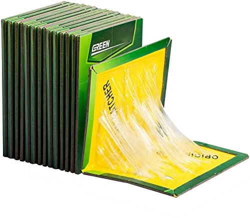 Trappola per Topi 10 Trappole Topi Trampas para Ratas Grandes Trappola per Talpe Cattura Ragni Trampa para Ratones Pegamento Ratones Professionale Ultra Adesive Senza Veleno