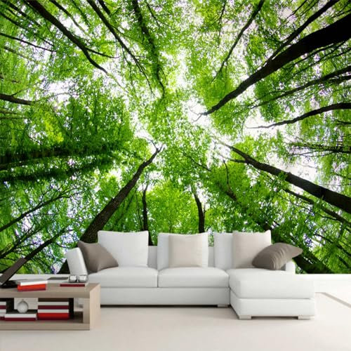 Arsey Wandteppich Wald Sky Wandbehang Natur Landschaft Wandteppiche Aesthetic Wandtücher Wanddecke Wandbespannung Wandtuch xxl Deko Wohnzimmer, Grün, Großer 230x180cm