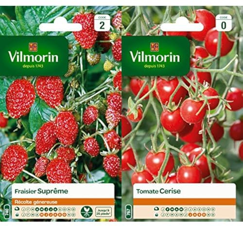 Vilmorin 3585042 Pack de Graines Fraisier 4 Saisons Suprême + Vilmorin 3974040 Tomate cerise Rouge