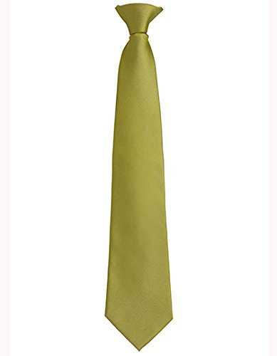 Premier Workwear Business Fashion Clip Ansteck Krawatte 'Colours' - schnell & praktisch PR785 47 x 10 cm,Grass