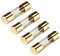 tomzz Audio 5800-016 KFZ AGU Sicherung Glas 50A, 10x38mm, vergoldete Kontakte, 4 Stück