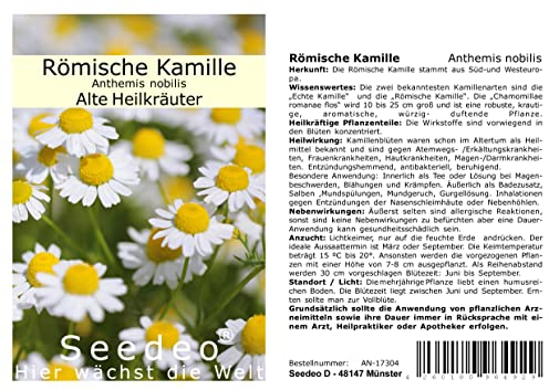 Seedeo® Römische Kamille (Anthemis nobilis) 500 Samen