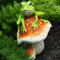 Frosch-Gartenstatue, Froschstatuen, lustige Heimdekoration, Gartenpilze im Freien, Innen- und Außenbereich, Gartenskulptur für Haus, Terrasse, Liebesgeschenke für Froschliebhaber, auf Pilzen sitzen