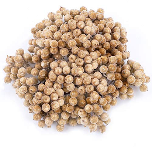 400 pezzi di bacche artificiali,mini decorazioni natalizie di fiori di bacche glassate artificiali di Natale,ghirlanda di ghirlande di agrifoglio con filo d'oro champagne per tavolo Natale