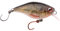 Spro IKIRU Mini Crank 38F SL SH Wobbler Kunstköder für Forelle Barsch - 3,8 cm, Farbe:Roach