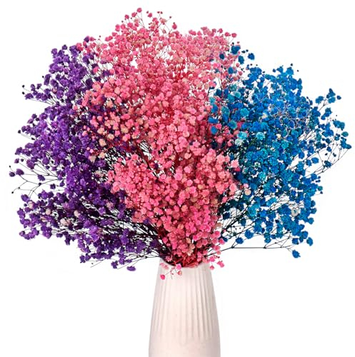 Gipizi Rosa Gypsophila Essiccata, 43cm Naturale Fiori Secchi stabilizzata oltre 3000 Boccioli, Gypsophila Secchi per Matrimonio, Decorazione Della Casa, fai da te e Partito (Rosa-Blu-Viola)