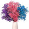 Gipizi Rosa Gypsophila Essiccata, 43cm Naturale Fiori Secchi stabilizzata oltre 3000 Boccioli, Gypsophila Secchi per Matrimonio, Decorazione Della Casa, fai da te e Partito (Rosa-Blu-Viola)