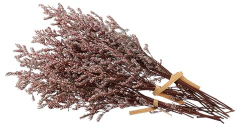 VINTORKY Dried Flower Bouquet Mit Babysbreath Kleine Sträuße Geschenkbox Für Hochzeiten Dekoration Und Bastelprojekte Natürliche Trockenblumen Für Zuhause Und Events