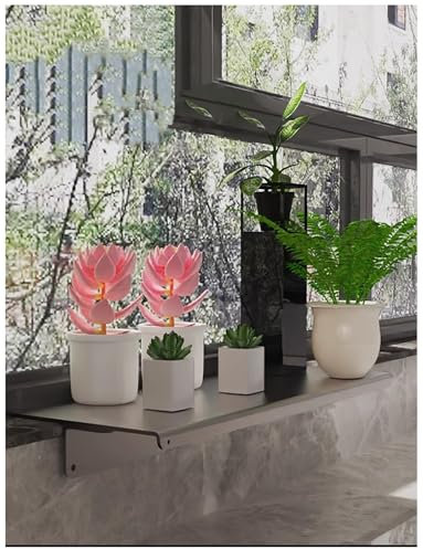 Window Sill Extension, Window Plant Shelves Window Sill Extender Plate in Carbon Steel Window Plant Shelves with Magnetic Base for Kitchen Office Bathroom(70x20cm/27.6x7.9)