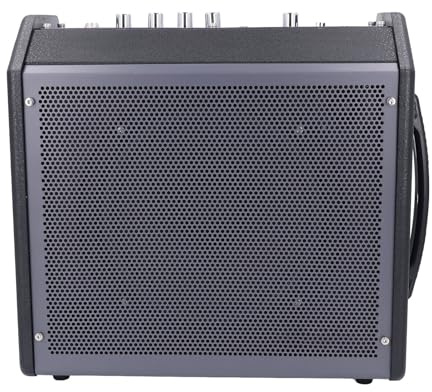Alomejor Amplificatore per Batteria Elettrica da 30 W, Amplificatore per Monitor Personale Portatile con Ingresso a Doppio Canale, Bluetooth, AUX, Jack per Cuffie per Batteria (Spina europea)