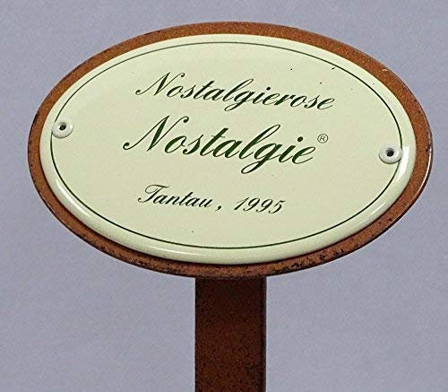 linoows Rosenschild, Rosenstecker Emaille, Nostalgierose, Nostalgie, Tantau 1995