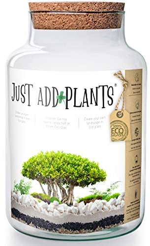 Annastore XXL Pflanzenterrarium inklusive allem - Nur noch Pflanze dazu -Terrarium - Fertig H 30 cm/H 18 / oder H 20- Pflanzterrarium Pflanzenglas - Flaschengarten (H 30 cm Ø 19 cm + Korken)
