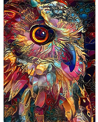 5D DIY Diamant-Malerei-Set für Erwachsene, Kinder, Bunte Eule, Vollbohrer, runde Kristall-Strass-Stickerei, Kunsthandwerk, abstrakte Vögel, Portraitbild, Wanddekoration, Geschenk