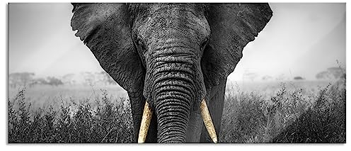 Pixxprint Glasbild Panorama, Wandbild aus Echtglas, prachtvoller Elefant, 100x40 cm, inkl. Aufhängung und Abstandshalter