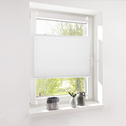 Deswell Plissee ohne Bohren Klemmfix Weiß B60 x H80 cm Plisseerollo Blickdicht Sichtschutz Sonnenschutz Jalousien Easyfix Plissees Lichtdurchlässig Rollo für Fenster & Tür