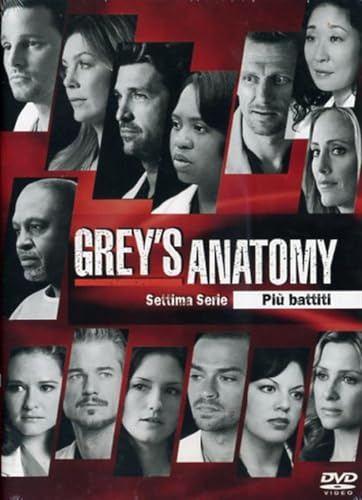 Grey's Anatomy Stg.7 (Box 4 DVD)