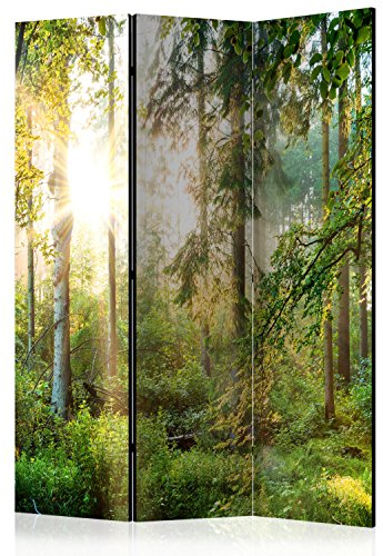 murando - Paravent Raumteiler Innen Wald 135x172 cm 3-teilig Einseitig Raumtrenner Raum Trennwand Holz Room Divider Mobiler Sichtschutz Spanische Wand Raum Abtrennung Natur c-C-0032-z-b