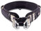 Wolters Halsband Active Pro, Größe:45-52 cm, Farbe:Champagner/schwarz