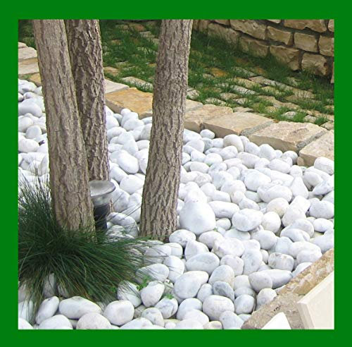 Seat Flor srl® Caillole blanc Carrare, pierre blanche pour jardin, galets blancs pour jardin et parterres de fleurs (20 kg.) (taille 7/15 mm.)