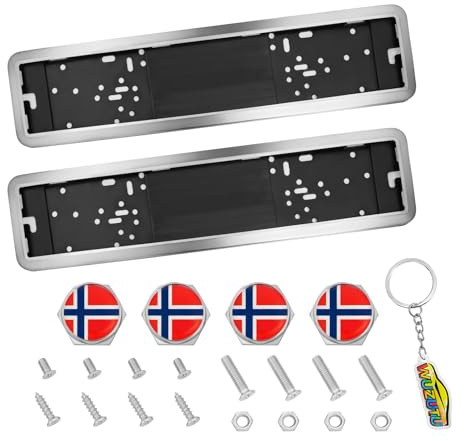WUZUTU 2 Stück 52 cm x 11 cm Metall Kfz Kennzeichen Halterung Autokennzeichen für Autos Kennzeichenhalter in Silber Nummernschild Kennzeichenhalterung Car Exterior Design