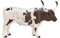 MOJO 387222 Texas Longhorn Bull Spielzeugfigur, Mehrfarbig