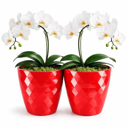 PECZEKO glänzender Blumentöpfe, Kunststoff-Pflanzentöpfe, dekorativer Blumentopf für große und kleine Blumen, 2er-Set Blumentöpf, Pflanztopf, Kräutertopf, (2 Pack) Rot, ø 14 cm
