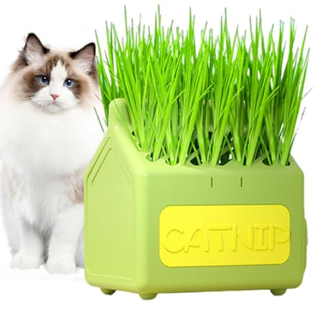 Hugsweet Katzengras Pflanzkasten,Katzengras Keimschale,Hydrokultur Katzengras Wachstumsset,Abnehmbare Katzengras Samen Sprouter,Anti-Graben Grastopf,für Innen- Oder Außenbereich Katze