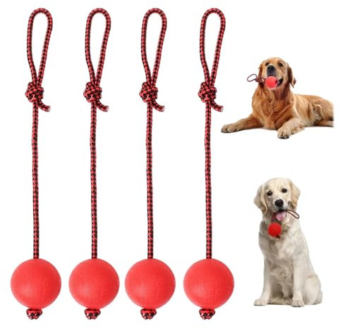 4pcs Jouet De Lancer De Corde,Jouet Chien Balle Corde,Jouets pour Chien avec Corde de Balle en Caoutchouc,Balle pour Chien avec Corde,Convient pour Le Dressage et l'élevage d'animaux de Compagnie