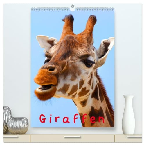 Giraffen (hochwertiger Premium Wandkalender 2026 DIN A2 hoch), Kunstdruck in Hochglanz: Schöne Gesichter auf langen und eleganten Hälsen (CALVENDO Tiere)