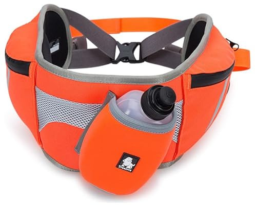 Pettimania Jogging-Gürtel orange