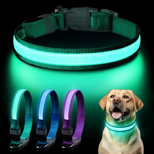 Leuchtend Halsband, Leuchthalsband Hund Aufladbar, LED Halsband Hund, Leuchtband Einstellbar Wasserdicht mit 3 Lichtmodi Hunde leuchthalsband für Kleine Mittlere Große Hunde Nachtspaziergänge