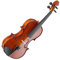 Stagg VN-1/8 Violin mit Standard Softcase