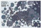 Pop Chart,Fußball Clubs of Europe,91.4x61 cm großes Kunstposter,über 1000 Fußballclubs einschließlich Barca, Juventus,perfekte Wanddekoration Dekor für Wohnen Zimmer, Schlafzimmer und Männerhöhle