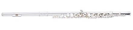 Stagg S-FL241Sind Instruments