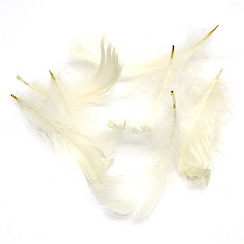 Federn in Box 15gr. ca. 270 Stück, 5-10cm/ TOP Preis !!! (102 Creme)
