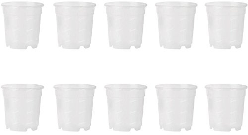 Lot de 10 pots transparents pour orchidées, diamètre 12 cm