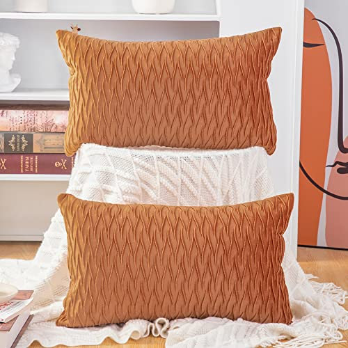 Madizz 2er Set Samt Dekorativ Zierkissenbezüge Luxus Stil Kissenbezug für Sofa für Schlafzimmer Orange 30x50 cm Rechteckigig